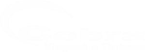 logo-cobra-viagens